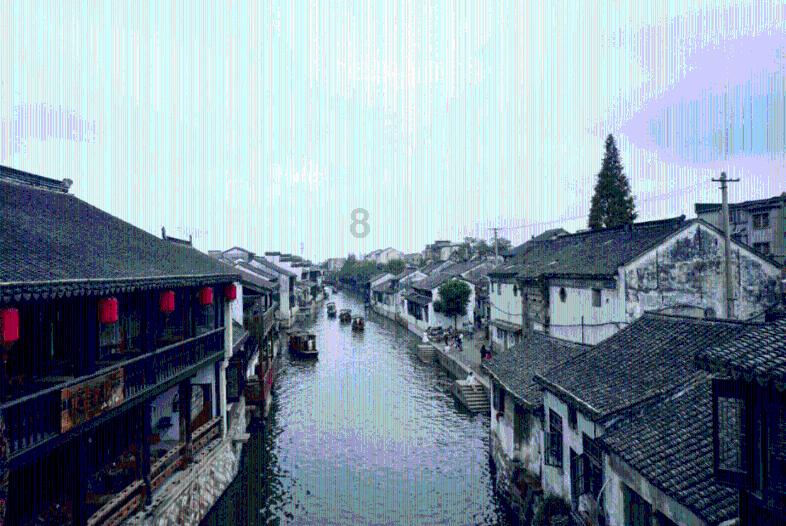 拯救枯树